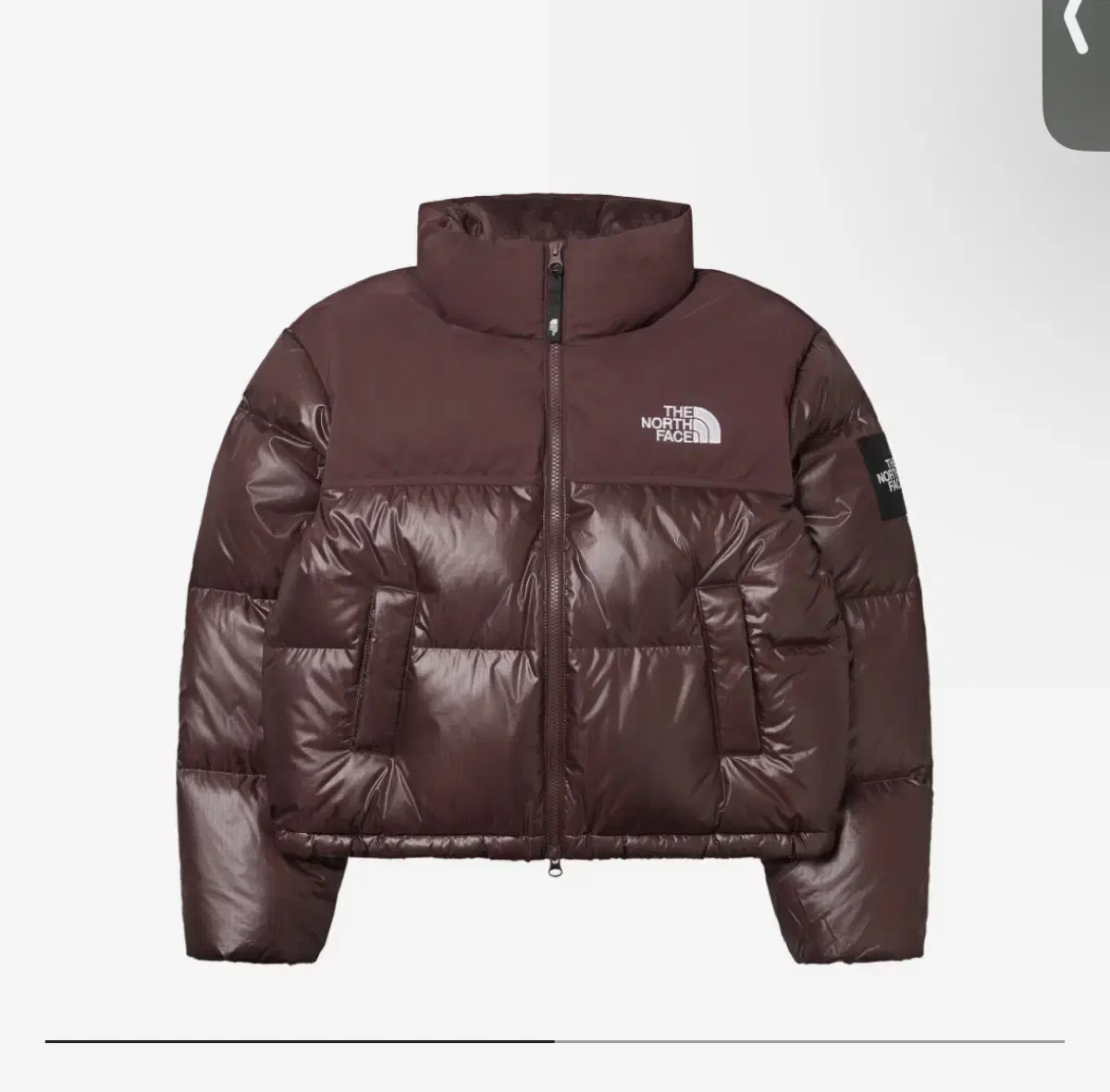 눕시 패딩 갈색 The North Face White Label